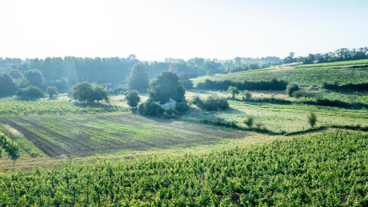 Suite Campagnarde Pres Bordeaux, Vue Sur Les Vignes Au Chateau Camponac Bourg-sur-Gironde Exteriör bild